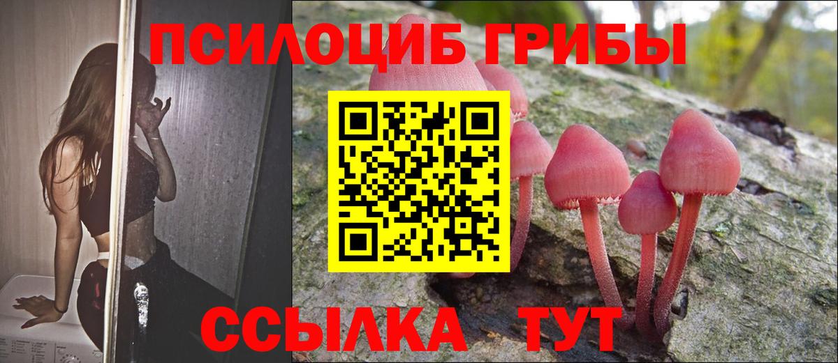 Галлюциногенные грибы GOLDEN TEACHER Фролово